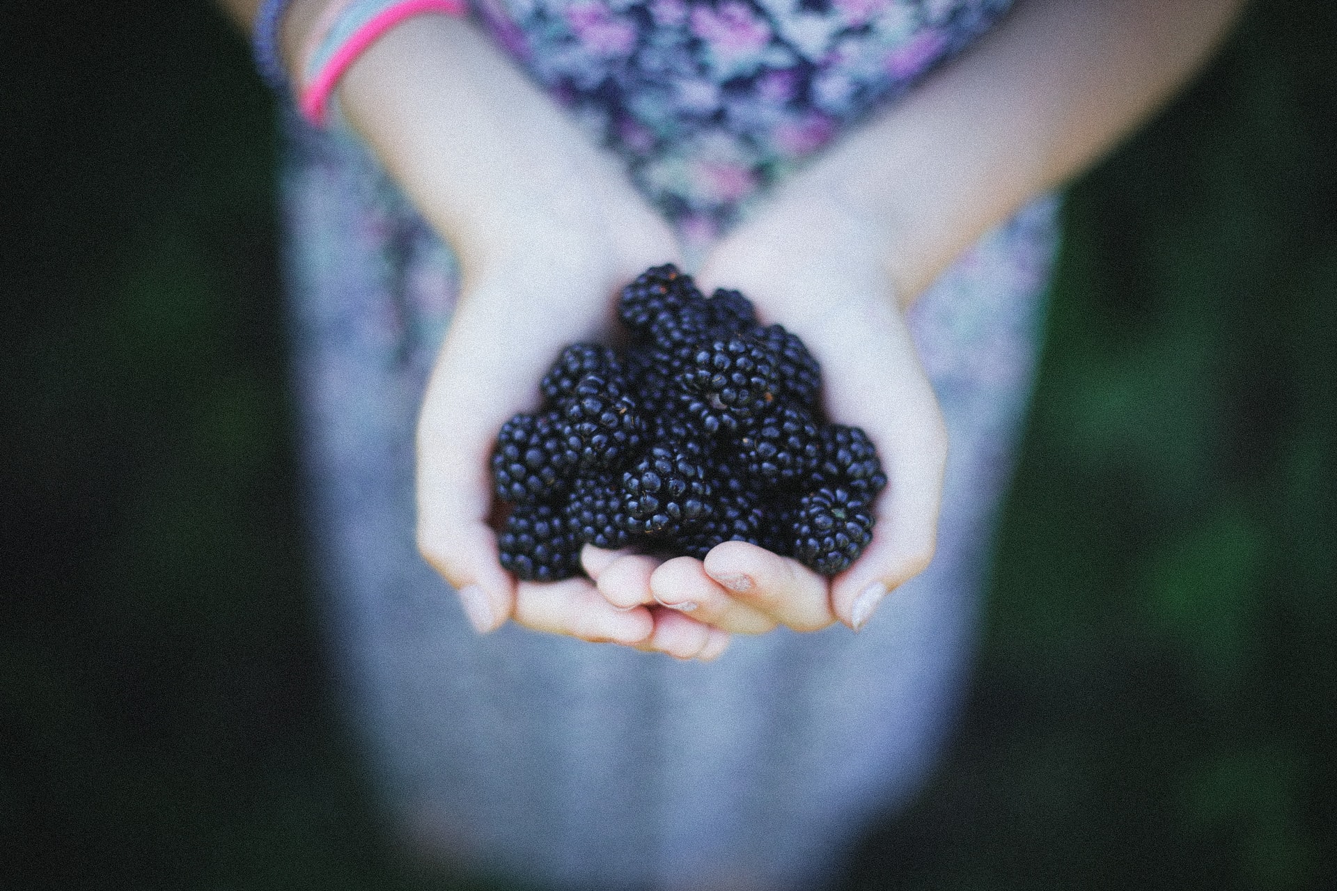 Hands holding berries